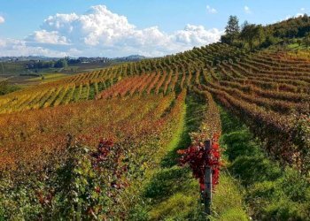 Terreno - Rustico via Bionzo, Calosso - foto 30