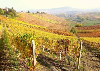 Terreno - Rustico via Bionzo, Calosso - foto 31