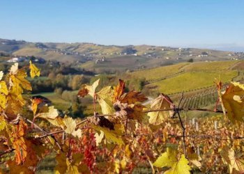 Vista - Rustico via Bionzo, Calosso - foto 33