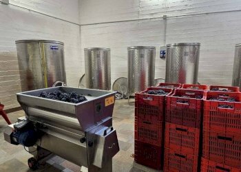 Interno non residenziale - Rustico via Bionzo, Calosso - foto 36