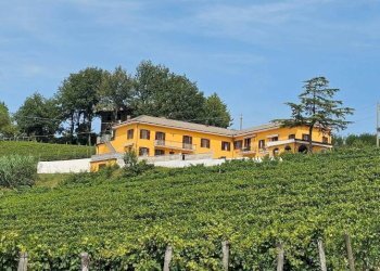 Terreno - Rustico via Bionzo, Calosso - foto 2