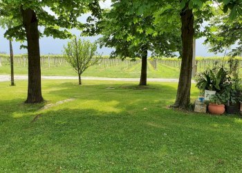 Rustico Reggio nell'Emilia - foto 4