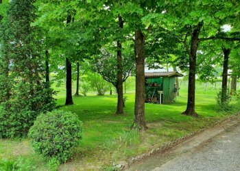 Rustico Reggio nell'Emilia - foto 5