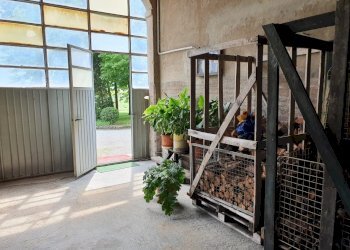 Rustico Reggio nell'Emilia - foto 12