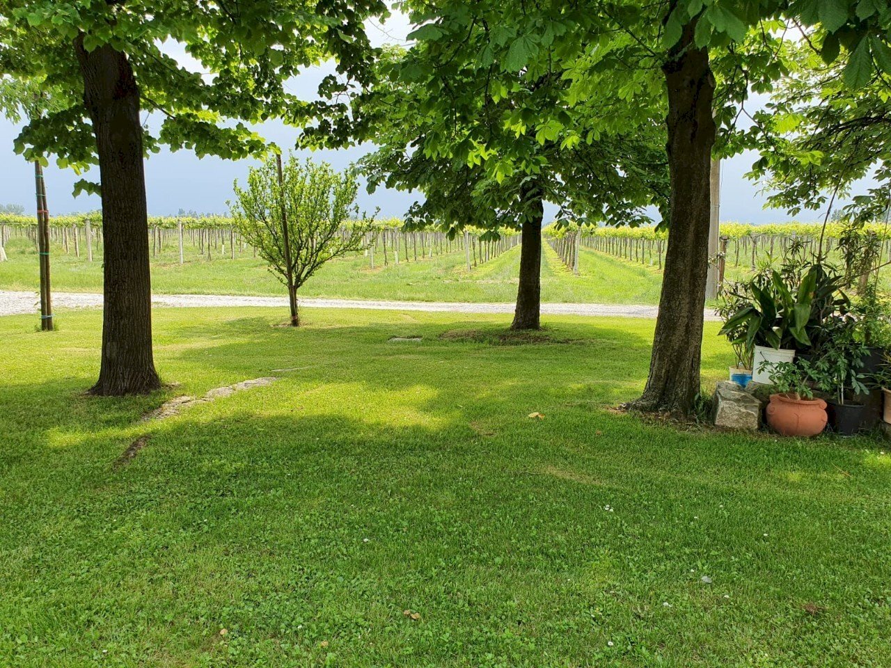 Terreno agricolo Reggio nell'Emilia - foto 1