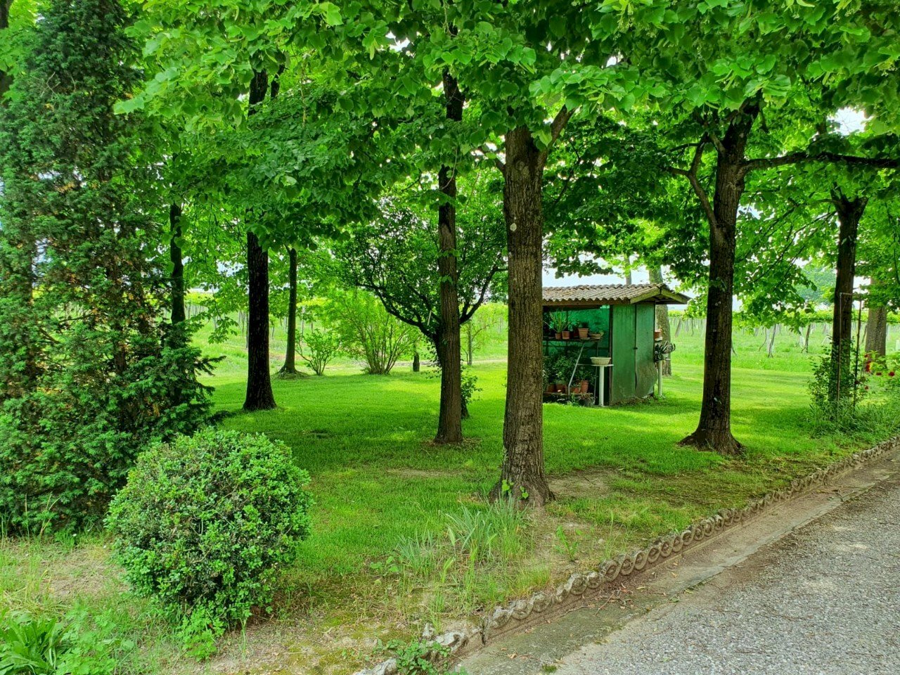 Terreno agricolo Reggio nell'Emilia - foto 2