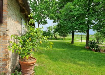 Terreno agricolo Reggio nell'Emilia - foto 3