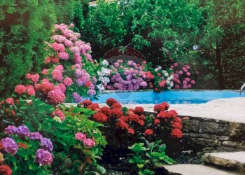 Villa Unifamiliare Ranica - foto 4