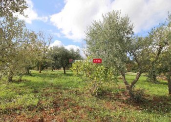Trullo Contrada Nigri, Martina Franca - foto 15