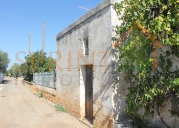 IMG_3725.jpg - Independent house Monopoli - photo 3