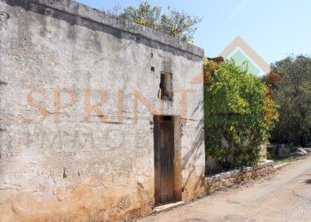 IMG_3726.jpg - Independent house Monopoli - photo 4