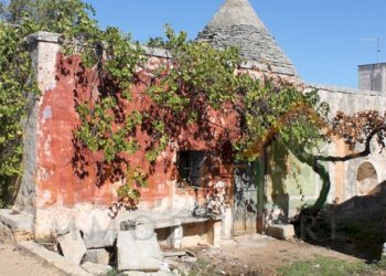 IMG_3730.jpg - Independent house Monopoli - photo 5