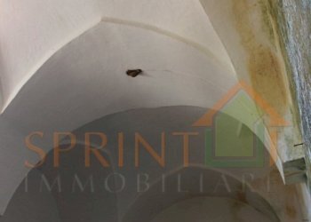 IMG_3744.jpg - Independent house Monopoli - photo 13