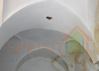 IMG_3747.jpg - Independent house Monopoli - photo 15