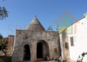 IMG_3754.jpg - Independent house Monopoli - photo 18