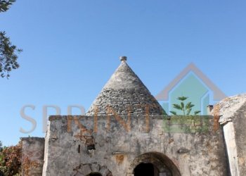 IMG_3755.jpg - Independent house Monopoli - photo 19