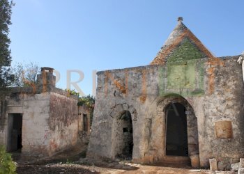 IMG_3758.jpg - Independent house Monopoli - photo 20