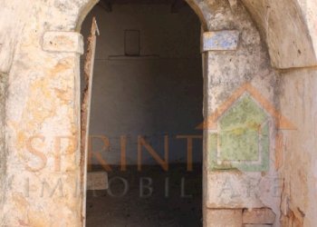 IMG_3759.jpg - Independent house Monopoli - photo 21