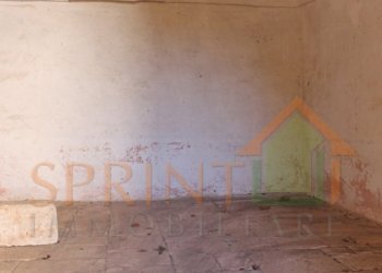 IMG_3761.jpg - Independent house Monopoli - photo 23