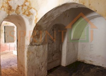 IMG_3774.jpg - Independent house Monopoli - photo 27