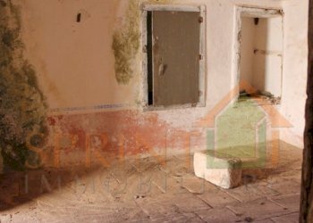 IMG_3775.jpg - Independent house Monopoli - photo 28