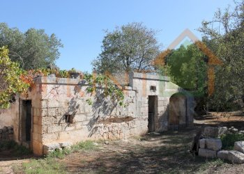 IMG_3727.jpg - Independent house Monopoli - photo 30