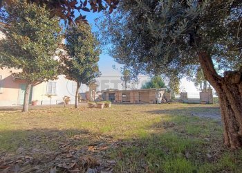 WhatsApp Image 2024-11-04 at 11.19.20.jpeg - Terratetto - Terracielo VIA MARCONI  15, Ticengo - foto 13