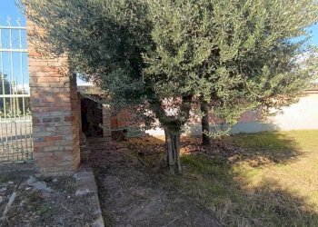 WhatsApp Image 2024-11-04 at 11.19.21.jpeg - Terratetto - Terracielo VIA MARCONI  15, Ticengo - foto 14