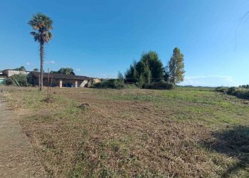 WhatsApp Image 2024-11-04 at 11.19.22.jpeg - Terratetto - Terracielo VIA MARCONI  15, Ticengo - foto 15