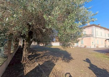 WhatsApp Image 2024-11-04 at 11.19.32.jpeg - Terratetto - Terracielo VIA MARCONI  15, Ticengo - foto 22