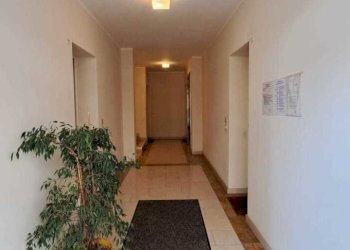 IMG-20241031-WA0011.jpg - Attic Pesaro - photo 6