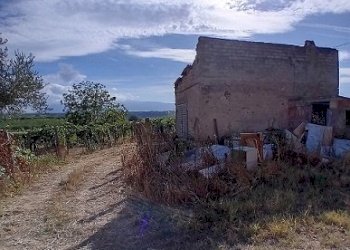20240906_162803.jpg - Terreno agricolo Via Santa Lucia, Tollo - foto 3