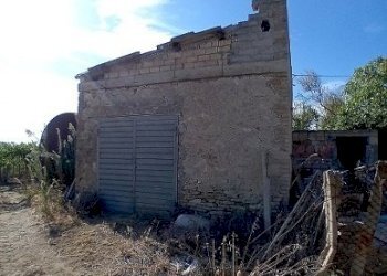 20240906_162728.jpg - Terreno agricolo Via Santa Lucia, Tollo - foto 5