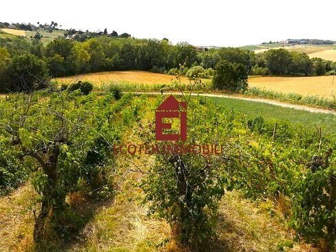 casa_in_vendita_a_Rimini (5).jpeg - Casa indipendente Rimini - foto 1