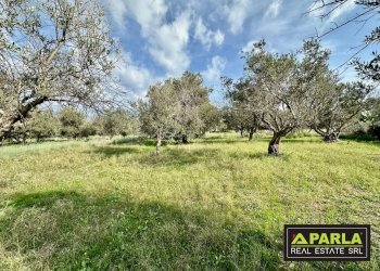 Appartamento Discesa Marina Mezzacampa, Messina - foto 6