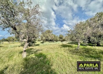 Appartamento Discesa Marina Mezzacampa, Messina - foto 10