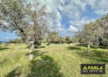 Appartamento Discesa Marina Mezzacampa, Messina - foto 11