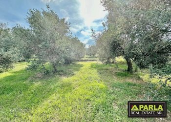 Appartamento Discesa Marina Mezzacampa, Messina - foto 36