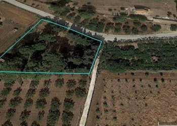 Villa Contrada Castellana sp 79, Sciacca - foto 32