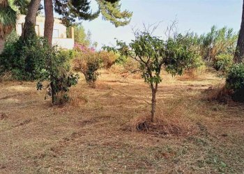 Villa Contrada Castellana sp 79, Sciacca - foto 12