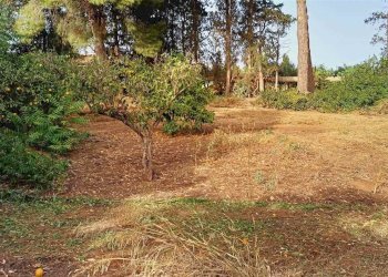 Villa Contrada Castellana sp 79, Sciacca - foto 13
