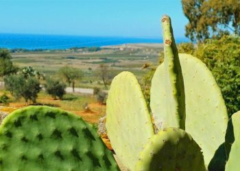 Villa Contrada Castellana sp 79, Sciacca - foto 3
