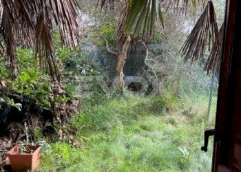 Trilocale Ravenna - foto 30