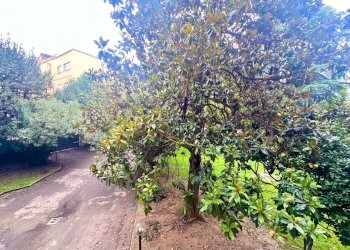 Appartamento Bologna - foto 49