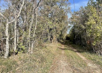 Rustico Cerreto di Spoleto, Cerreto di Spoleto - foto 13