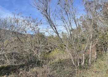 Rustico Cerreto di Spoleto, Cerreto di Spoleto - foto 14