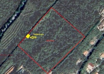 Rustico Cerreto di Spoleto, Cerreto di Spoleto - foto 17