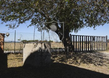 Rustico Capannone, Torrita di Siena - foto 13