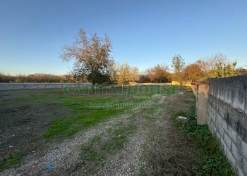 Terreno agricolo Saviano - foto 3