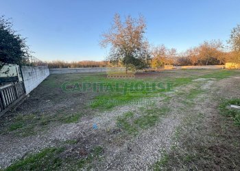Terreno agricolo Saviano - foto 4